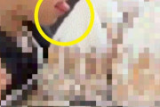 韓国人のここがおかしい！パン屋で子供がパンに舌を...親の教育よりもパン屋の衛生面を批判する声に異論続出