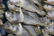 韓国、2トンもの水産物を産地偽装。8つのレストランで日本から輸入した水産物を国産に偽装していたことが判明 海外の反応