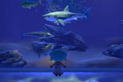 動物愛護団体PETAが『あつまれどうぶつの森』の中で抗議デモを開始！ 魚は水槽から逃せと暴れ回るｗｗｗｗｗｗ