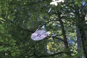 外国人「二度見しないと理解できない写真を集めてみたぞｗｗｗｗ」