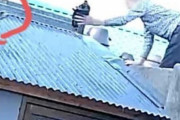 屋根の上に置かれた首なし猫の死体…監視カメラに映った老人の残虐行為＝韓国の反応