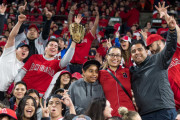 【海外の反応】君たちはどうしてエンゼルスのファンなの？【MLB】