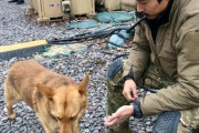 【悲報】韓国人「ウクライナ韓国人義勇兵イ・グン大尉が戦死した可能性‥韓国人3人が戦死か？」　韓国の反応
