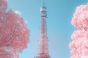 海外「とても綺麗、美しいピンク色ですね」「本当に日本に行きたいです、特に桜の時期に」東京タワーと桜（海外の反応）