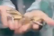 海外「中東への出稼ぎ後、稼いだ金と土産が空港で盗まれていることに気づくバングラデシュ人達」