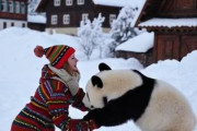 中国人「今から北海道に向けて離陸するのだけど、状況は大丈夫？」　中国人「ほんと最高！」「これだけには気を付けて！」