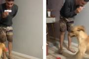 音に合わせてノリノリダンス。ハーモニカに合わせてはしゃぐ犬が面白い