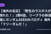 【海外の反応】『野生のラスボスが現れた！』2期4話、リーブラの新装備にガンダムSEEDのパロディ 海外「フリーダムだ！」