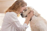 【海外】犬が出かける前に一つだけお願いしてくる件について、科学が証明した！