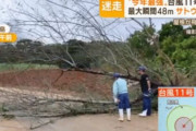 【韓国の反応】木が倒れて屋根が飛んで。台風「ヒンナムノ」去る日本の沖縄を見ると…韓国の反応「頑張って日本に行け!! /大韓民国は対策がない。各自対処。」