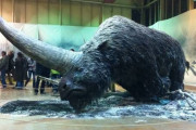 2万6,000年前に実在した伝説の一角獣「ユニコーン」のサイズが化け物級な件　海外の反応