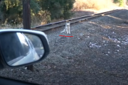 「SNSの本当の使い方！」線路で見つかったハスキー犬が「一日で」飼い主の所へ  海外の反応
