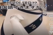 韓国人の反応「韓国の掲示板で再掲された羽田空港のロボットが可愛い」→人間が？？？