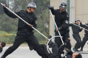 海外「これはナイスアイディアだ！」さすまたを使って犯人を捕らえる日本の警察の姿に驚く外国人 海外の反応