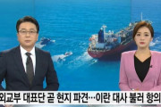 韓国人「韓国外交部が駐韓イラン大使を呼び抗議！代表団をまもなく現地派遣…」　韓国の反応