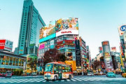 海外「どういう経緯で日本に住むことになった？」