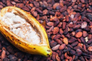 「チョコレートの価格をいくら上げればカカオ生産地での児童労働がなくなるか」 最新の研究で驚きの事実が判明