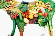 海外「菜食主義者は肉を食べる人より倫理的に上の位置にいる」