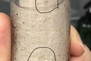 韓国人「また韓国の水道水から虫の幼虫！」済州道の家庭水道水から幼虫が出る‥　韓国の反応