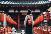 中国人「日本旅行から帰ってきて困ったこと。みんなはどう？」　中国人「正常な感覚だと思う」「日本旅行の回数はゼロ回か無限回」