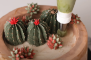 まるで本物の「植木鉢」！ お家でリアルなサボテンケーキをゆっくり解説 海外の反応