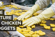 「加工品ってなんか不安」チキンナゲットの人気が減少傾向！？ 海外の反応