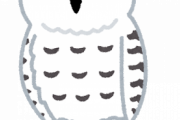 まるで恋人のように人間に懐くフクロウが可愛すぎて悶絶してしまう