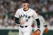 日本でのWBCの関心の高さに全米騒然！←「イタリア人兄弟は常に人気」（海外の反応）