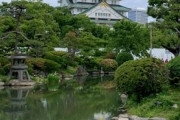 海外「素晴らしい景色！日本がとても恋しいです、また行きたい！」2019年に日本旅行で撮影された写真（海外の反応）