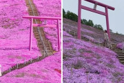 外国人「想像と全然違ったインスタ映えスポットを見せていくｗｗｗｗ」