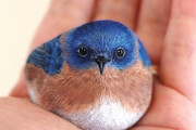 海外「え？本物の鳥じゃないの？」小石に動物を描く日本人アーティストの作品がリアルすぎると話題！ 海外の反応