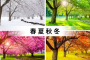 【海外の反応】日本人「みんなの国には四季はある？」