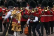 海外「イギリス、気候変動に抗議してなぜかクイーンズガードの行進を止めようとするヴィーガン達」