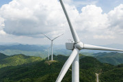 【海外】風力発電は鳥にどれほどの影響を与えているのか？実態を徹底解説！
