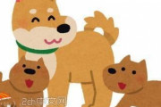 日本人「同僚の女性が、ペットの犬が子供を５匹産んだから1匹もらってくれてと言ってきたんだ、OKしたらくれたのは親犬の方だった」　中国の反応
