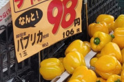 【疑惑】韓国人「韓国の野菜が急に高騰、その理由に裏がある？」