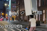 ありのままに今起こったことを話すぜ。頭に冷蔵庫を乗せて自転車で運んでいるヤツがいたんだ