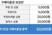クーパン個人情報流出、「1人5万ウォン補償」発表も中身は分割クーポン…韓国ネット大炎上「舐めてるのか」