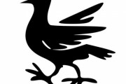 「こんなに美しい顔の鳥がいるなんて…敗北感を感じた」
