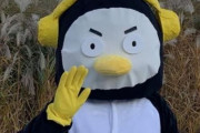 韓国人「日本人はペンギンとクマも区別出来ないのか？」日本メディアが「ペンスがくまモンのパクリ」だと報道！EBSは盗作疑惑を否定　韓国の反応