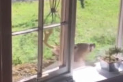 世界さん、またおバカ動画をアップしてしまう
