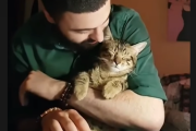 捨て猫達に家と音楽を。 音楽の先生がネコ達にピアノを弾く理由  海外の反応