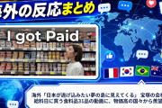 海外「日本が逃げ込みたい夢の島に見えてくる」 宝塚の会社員が給料日に買う食料品31品の動画に、物価高の国々から羨望の声