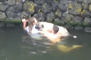 犬が河に落ちてしまった→女性が服を着たまま救助へ→男性も服を脱いで助太刀！