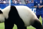 中国人「サッカーU23アジアカップ決勝、中国が日本に0-4で負けるのは普通のこと？」　中国人「全く普通ではない」「中国代表はよく頑張った」
