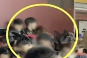 韓国人「うさぎ男を逮捕しろ！」ウサギ耳の男が『押せ』と叫ぶ映像が公開される‥警察が捜査に着手へ　韓国の反応