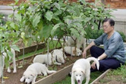 文大統領、犬肉食用禁止検討…海外メディアも相次いで報道＝韓国の反応