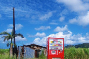 韓国人「韓国では想像もできない自動販売機がある日本」
