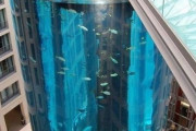 外国人「天才的だと思った世界のエレベーターを見せていく！」