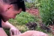 庭で赤ちゃんウサギが生まれていた！出会いに感動する人間男性とウサギたちのかわいさに関する海外の反応